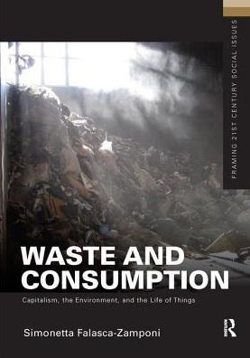 Waste and Consumption: Capitalism, the Environment, Life of Things
