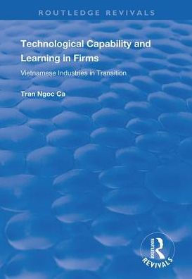 Technological Capability and Learning in Firms: Vietnamese Industries in Transition / Edition 1