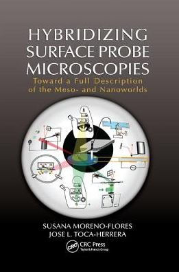 Hybridizing Surface Probe Microscopies: Toward a Full Description of the Meso- and Nanoworlds / Edition 1
