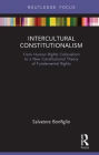 Intercultural Constitutionalism: From Human Rights Colonialism to a New Constitutional Theory of Fundamental Rights