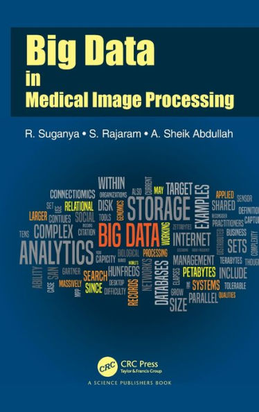 Big Data in Medical Image Processing / Edition 1