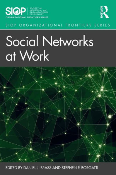 Social Networks at Work / Edition 1