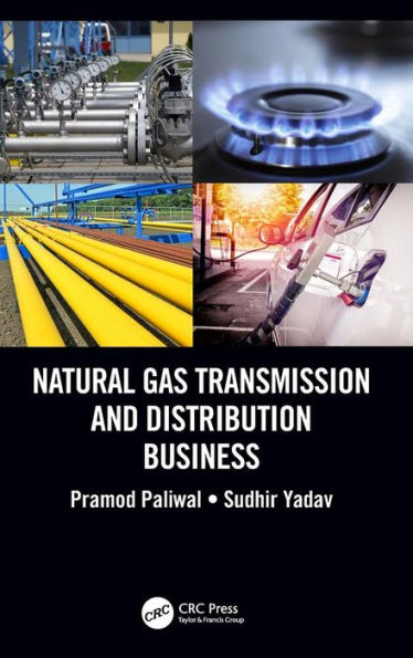 Natural Gas Transmission and Distribution Business / Edition 1