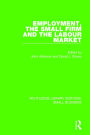 Employment, the Small Firm and the Labour Market / Edition 1