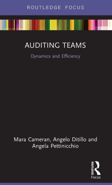 Auditing Teams: Dynamics and Efficiency
