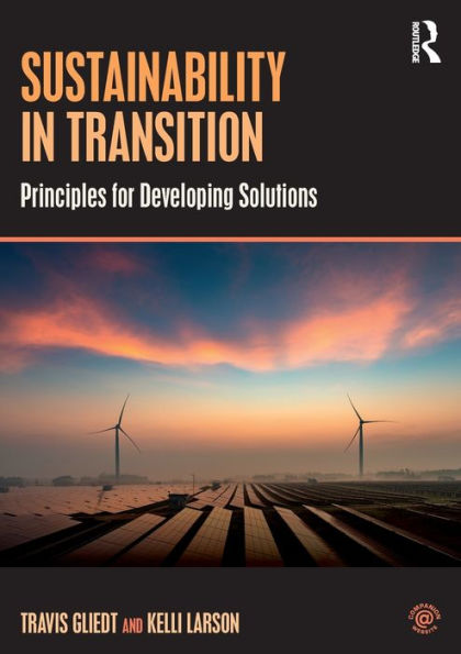 Sustainability in Transition: Principles for Developing Solutions / Edition 1