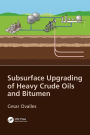 Subsurface Upgrading of Heavy Crude Oils and Bitumen / Edition 1