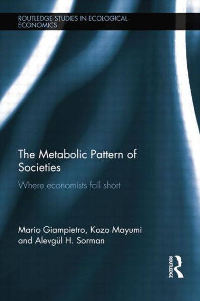 The Metabolic Pattern of Societies: Where Economists Fall Short
