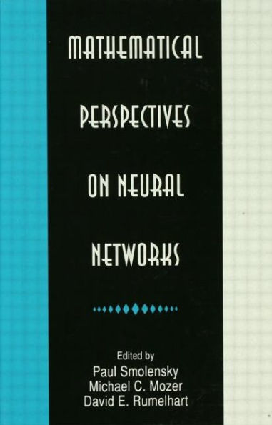 Mathematical Perspectives on Neural Networks
