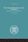 Industrial Revolution on the Continent: Germany, France, Russia 1800-1914 / Edition 1