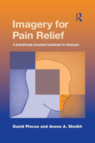 Title: Imagery for Pain Relief: A Scientifically Grounded Guidebook for Clinicians / Edition 1, Author: David Pincus