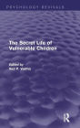 The Secret Life of Vulnerable Children / Edition 1