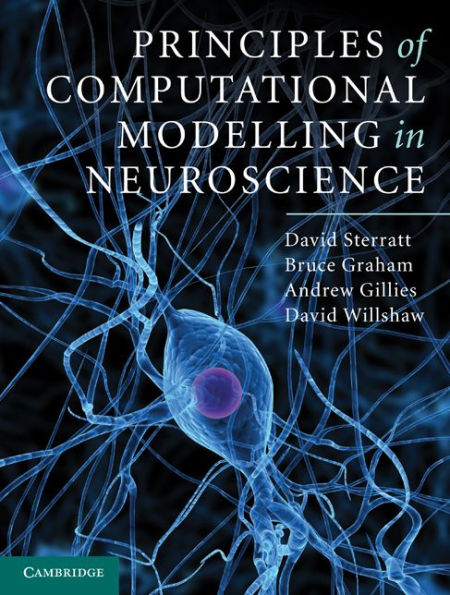 Principles of Computational Modelling in Neuroscience
