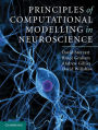 Principles of Computational Modelling in Neuroscience
