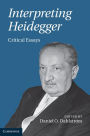 Interpreting Heidegger: Critical Essays