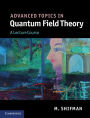 Advanced Topics in Quantum Field Theory: A Lecture Course