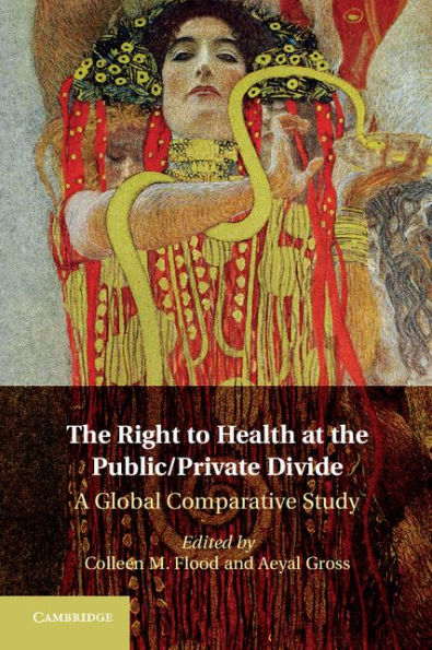 The Right to Health at the Public/Private Divide: A Global Comparative Study