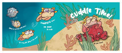 Alternative view 2 of Cuddlefish