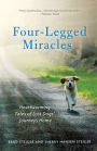Four-Legged Miracles: Heartwarming Tales of Lost Dogs' Journeys Home