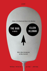 Title: The Bug: A Novel, Author: Ellen Ullman