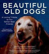 Title: Beautiful Old Dogs: A Loving Tribute to Our Senior Best Friends, Author: David Tabatsky