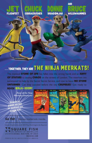 Ninja Meerkats, Series