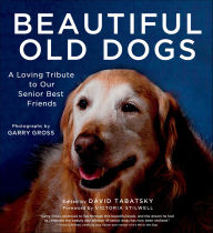 Title: Beautiful Old Dogs: A Loving Tribute to Our Senior Best Friends, Author: David Tabatsky