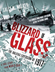 Title: Blizzard of Glass: The Halifax Explosion of 1917, Author: Sally M. Walker