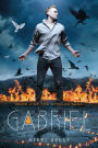 Gabriel (Styclar Saga Series #2)