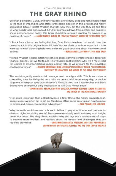 The Gray Rhino: How to Recognize and Act on the Obvious Dangers We Ignore