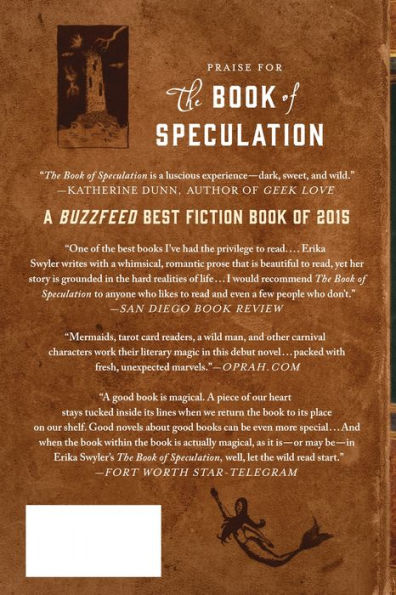 The Book of Speculation: A Novel