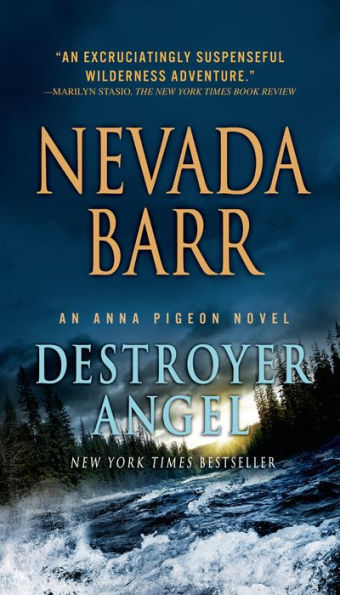Destroyer Angel (Anna Pigeon Series #18)