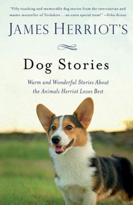 touching dog stories
