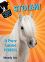 Stolen! A Pony Called Pebbles (Rainbow Street Shelter Series #5)
