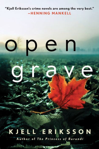 Open Grave (Ann Lindell Series #6)