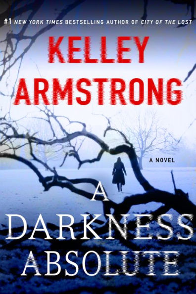 A Darkness Absolute (Rockton Series #2)
