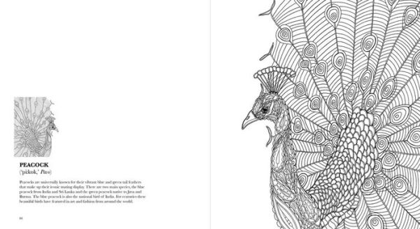 Birds: A Mindful Coloring Book - BookPal