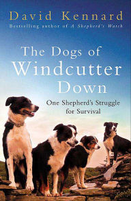 Title: The Dogs of Windcutter Down: One Shepherd's Struggle for Survival, Author: David Kennard