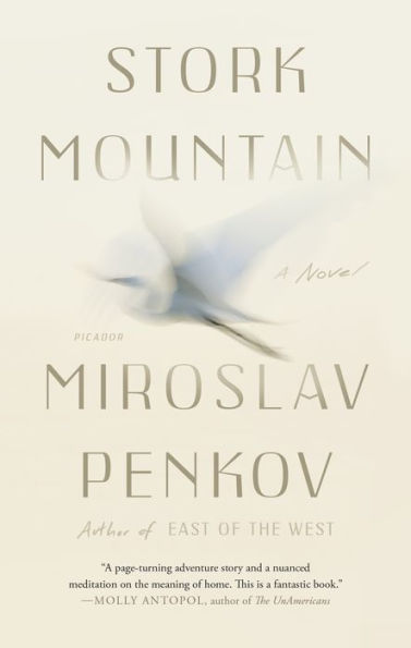 Stork Mountain: A Novel