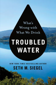 Best seller ebook downloads Troubled Water: What's Wrong with What We Drink English version by Seth M. Siegel 9781250132543 