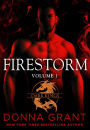 Firestorm: Volume 1: A Dragon Romance