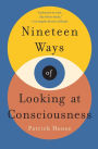 Nineteen Ways of Looking at Consciousness