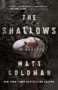 Title: The Shallows (Nils Shapiro Series #3), Author: Matt Goldman