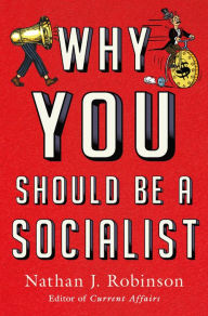 English books pdf format free download Why You Should Be a Socialist