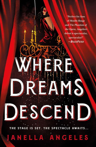 Where Dreams Descend: A Novel