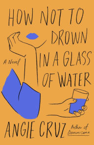 Ebook ebook download How Not to Drown in a Glass of Water: A Novel 9781250208453 by Angie Cruz, Angie Cruz in English CHM RTF