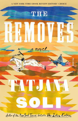 The Removes A Novelpaperback - 