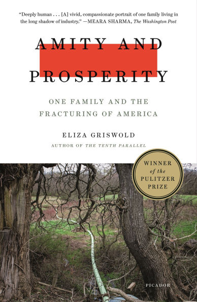 Amity and Prosperity: One Family the Fracturing of America