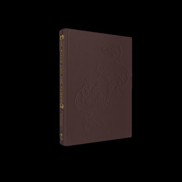 The Witch and the Vampire: A Novel