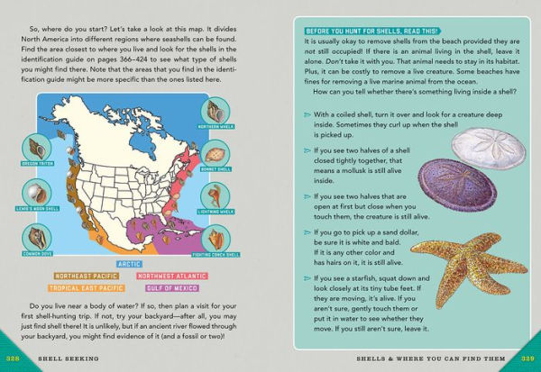 Outdoor School: Rock, Fossil, and Shell Hunting: The Definitive Interactive Nature Guide